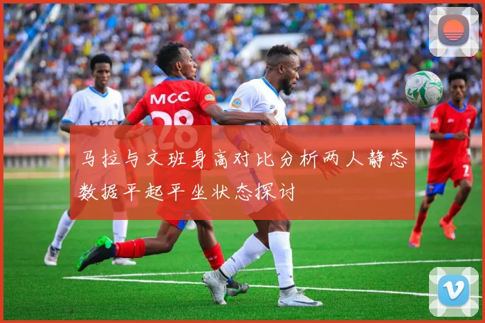 马拉与文班身高对比分析两人静态数据平起平坐状态探讨